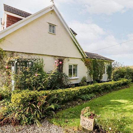 Claire'S Cottage Poughill  Exterior foto